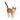 Katze