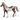 Paint Horse Wallach