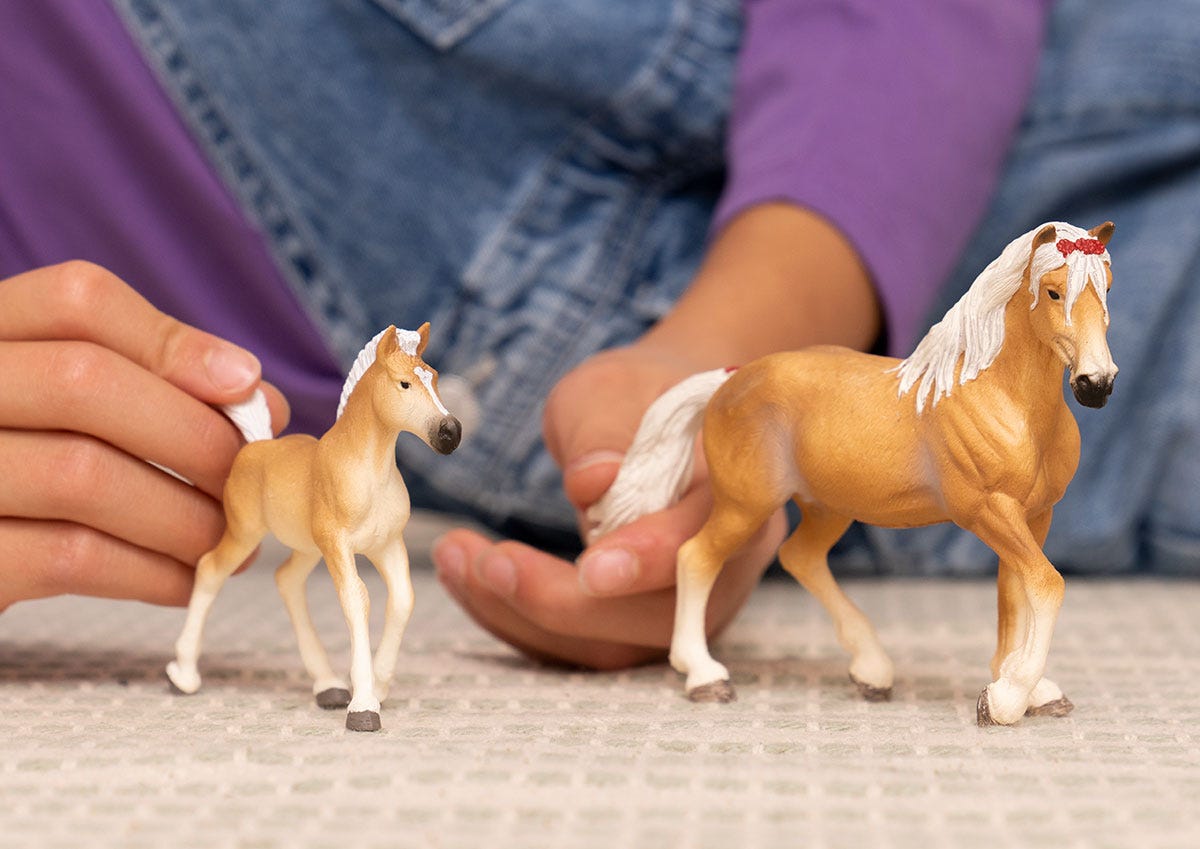 Haflinger Stute