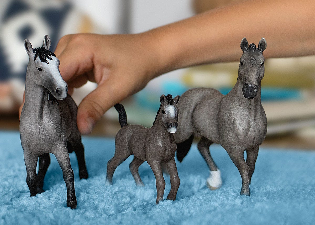 Cheval de Selle Francais Stute