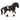 Friese Hengst Reitturnier