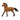 Mustang Hengst