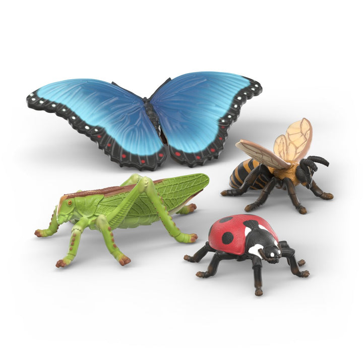 Insekten Entdecker Set