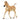 Haflinger Fohlen