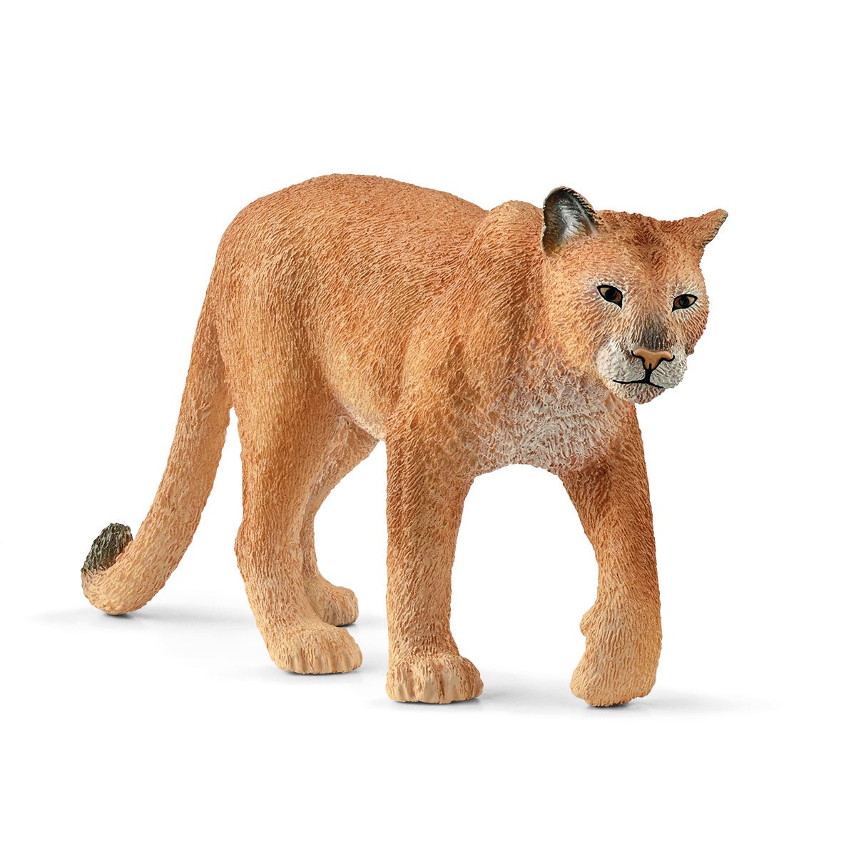 Puma (circular)