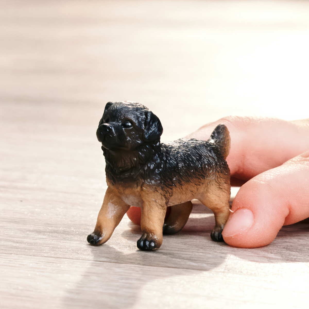 Deutscher Schäferhund Welpe