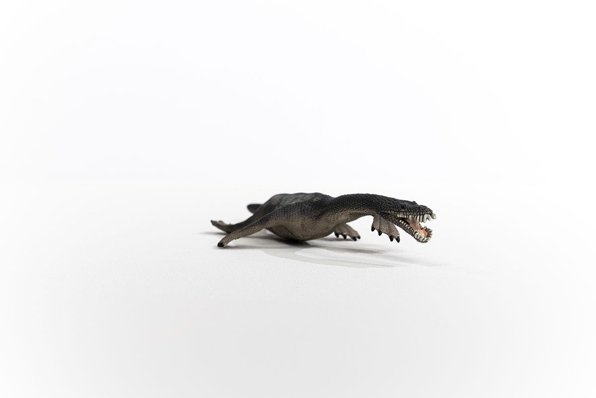 Schleich Dinosaurs | Nothosaurus 15031 | 8 x 21 x 2 cm Schleich Dinosaurs | Nothosaurus 15031 | 8 x 21 x 2 cm