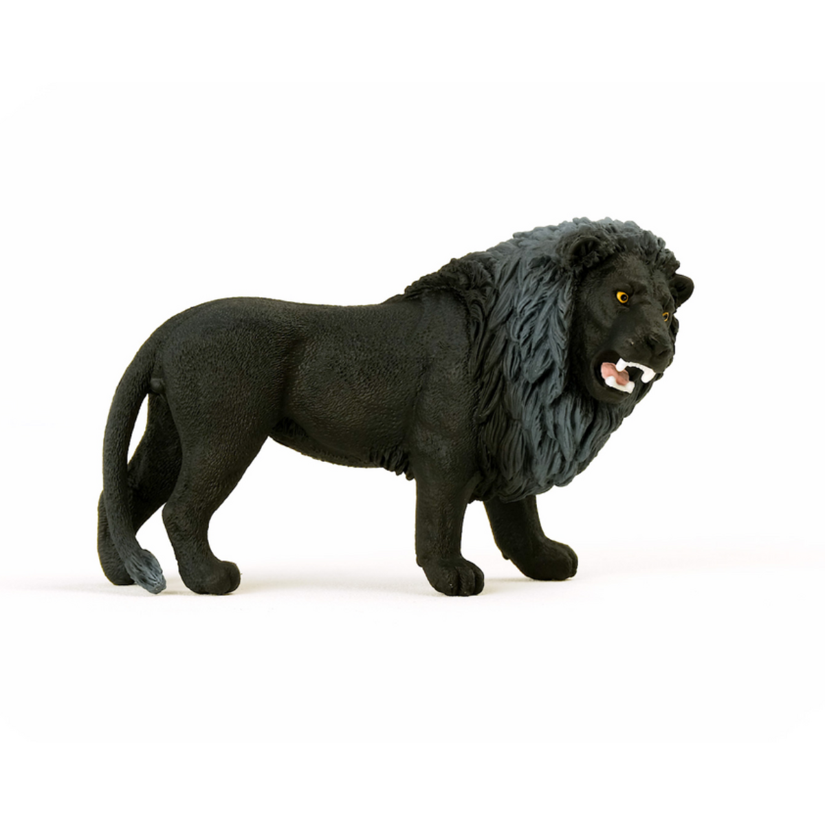 Schwarzer Löwe
