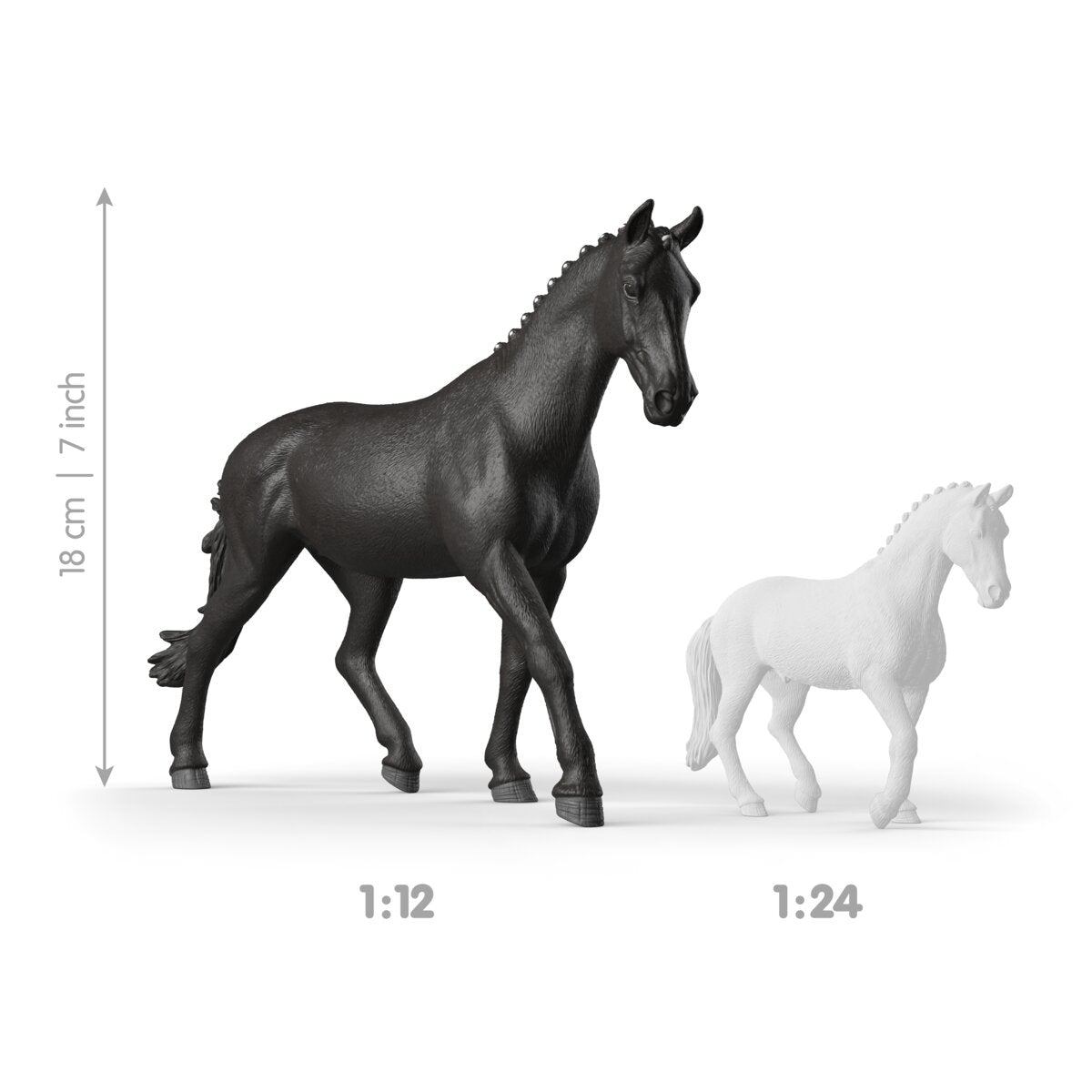 Sonata, Trakehner Stute 1:12