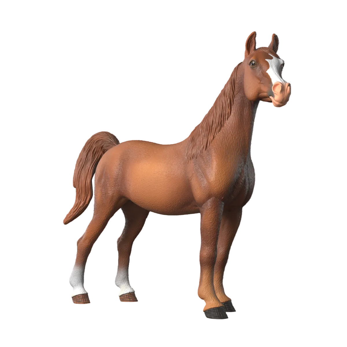 Amira, Araber Stute 1:12