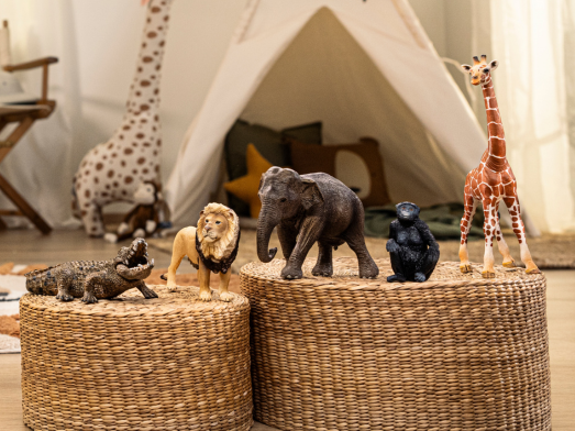 WILD LIFE Entdecker Bundle