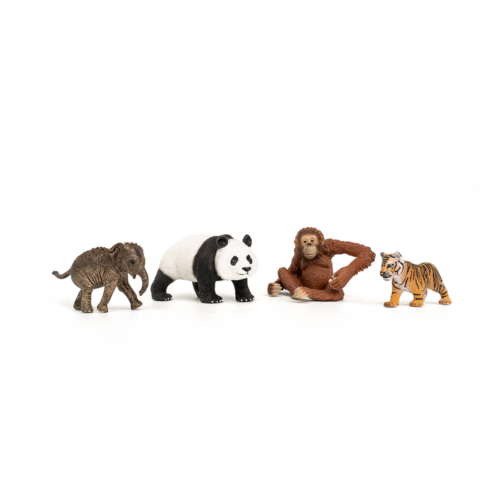 Wild Life Asien Starter-Set